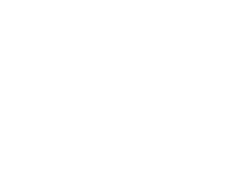 Salon Spiegelbild